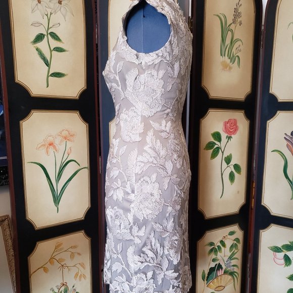 🎉HOST PICK🎉Tadashi Shoji Metallic Embroidered Lace Sheath - Picture 3 of 8